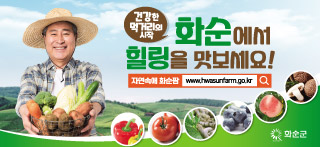 화순에서 힐링을 맛보세요